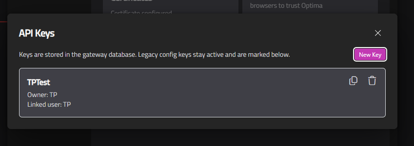 Configuration page showing the API Keys panel with a list of keys, each showing name and owner, and copy/delete icons