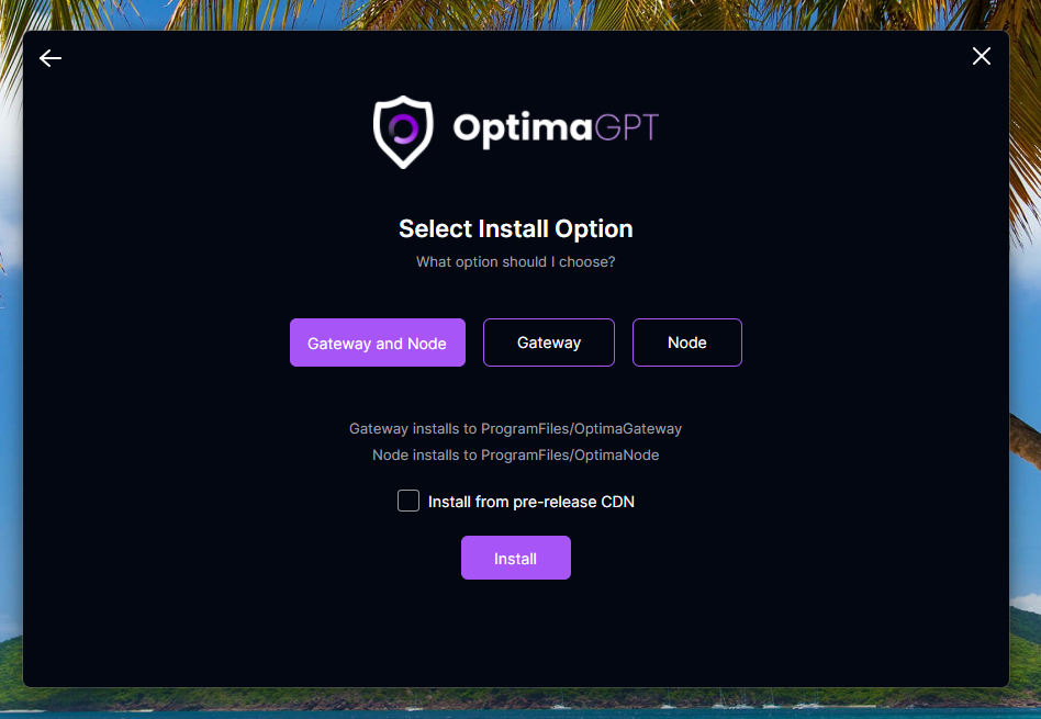 Select Install Option screen showing three option buttons — Gateway and Node, Gateway, and Node — along with the Install from pre-release CDN checkbox and an Install button